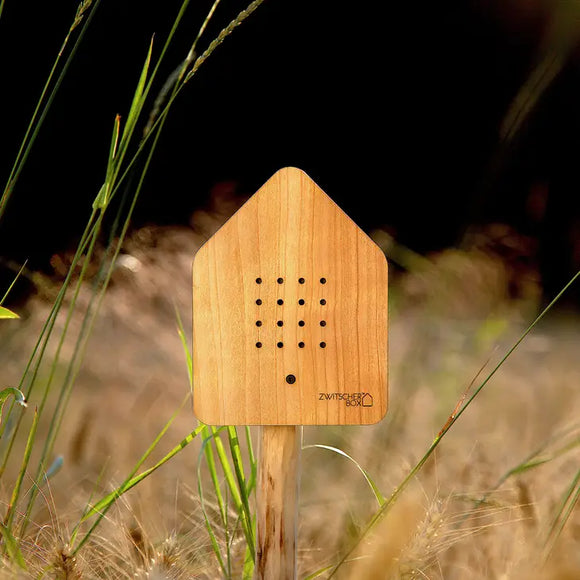 Zwitscher Box: Wood