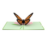 Pop up card with orange butterfly.