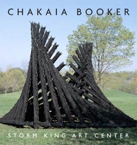 Book cover with photograph of Chakaia Booker sculpture.